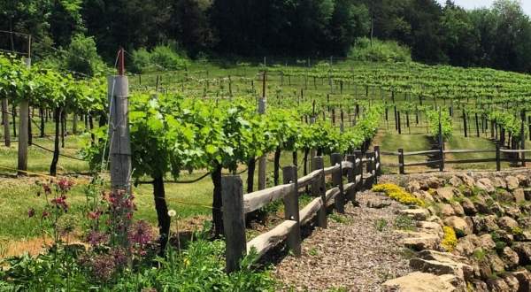 13 Picture Perfect Wisconsin Wineries You’ll Want To Visit