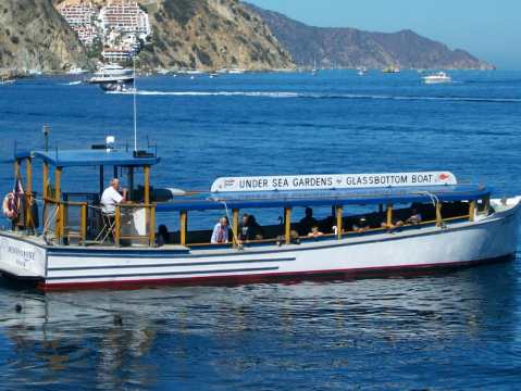 The Amazing Glass-Bottomed Boat Tour In Southern California Will Bring Out The Adventurer In You