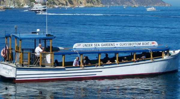 The Amazing Glass-Bottomed Boat Tour In Southern California Will Bring Out The Adventurer In You