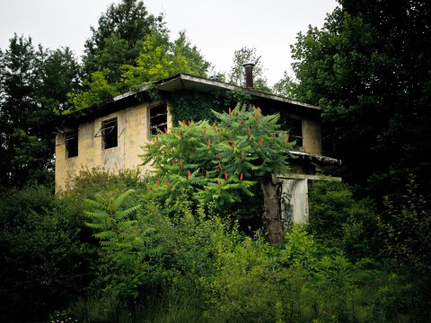 Nature Is Slowly Swallowing This Abandoned Armory And It's Positively Enchanting