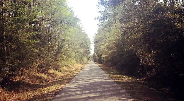The 5 Most Beautiful Bike Trails You Can Take In New Orleans