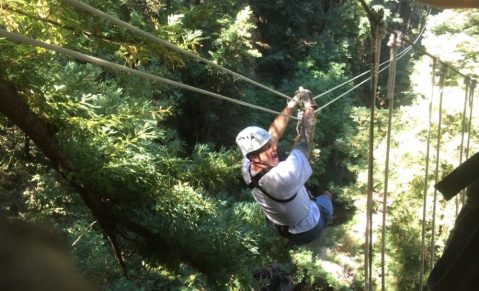 The Epic Zipline Near San Francisco That Will Take You On An Adventure Of A Lifetime
