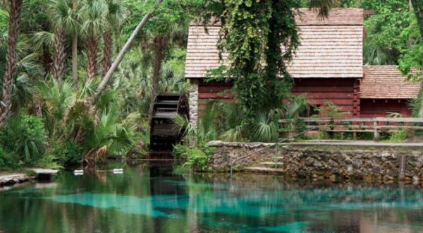 The Incredible Spring-Fed Pool In Florida You Absolutely Need To Visit
