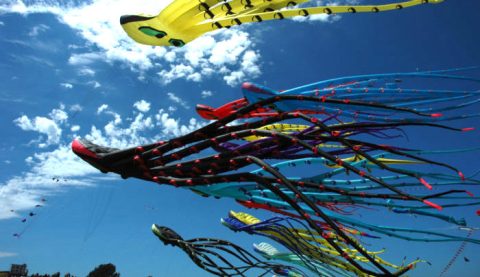 This Incredible Kite Festival In South Carolina Is A Must See