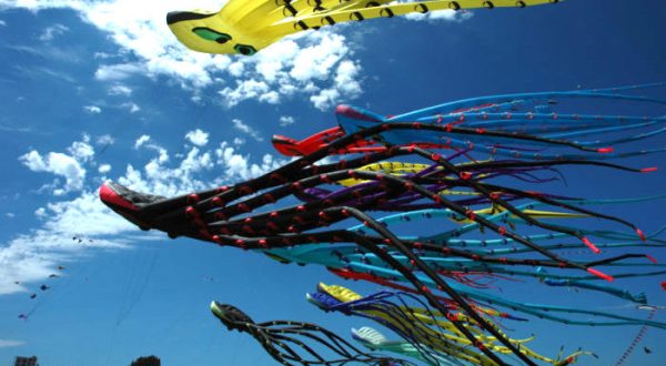 This Incredible Kite Festival In South Carolina Is A Must See