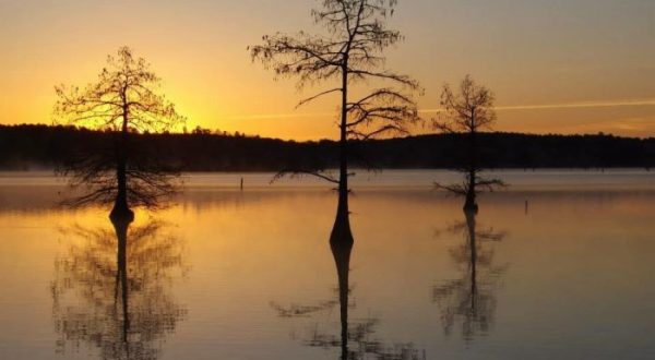 This Might Just Be The Most Beautiful Campground In All Of Louisiana
