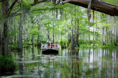 The 11 Places You Absolutely Must Visit In Louisiana This Spring