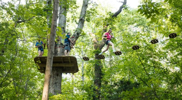 There’s An Adventure Park In Delaware That Everyone In Your Family Will Love