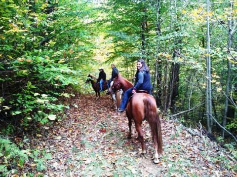 The Horseback Riding Trail In North Carolina That's Pure Magic