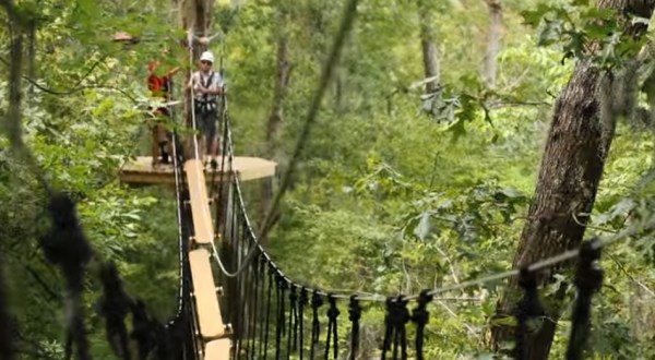 The Epic Canopy Course In South Carolina That Will Bring Out The Adventurer In You