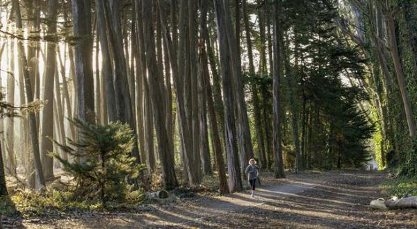 The Hiking Trail Hiding In San Francisco That Will Transport You To Another World