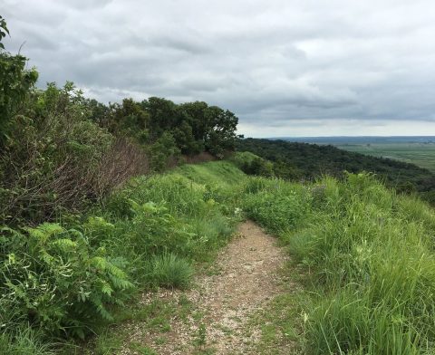 The Hiking Trail Hiding In Iowa That Will Transport You To Another World