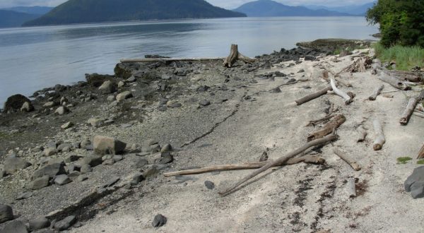 What’s Hiding At This Alaska Beach Is Unexpected But Completely Fascinating