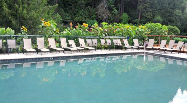 The Incredible Spring-Fed Pool In Oregon You Absolutely Need To Visit