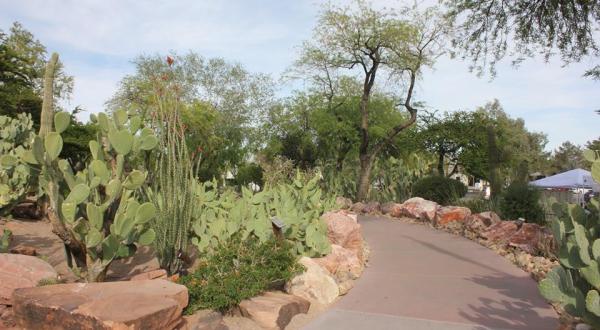 The Largest Botanical Cactus Garden In The Southwest Is Right Here In Nevada And It’s Mesmerizing