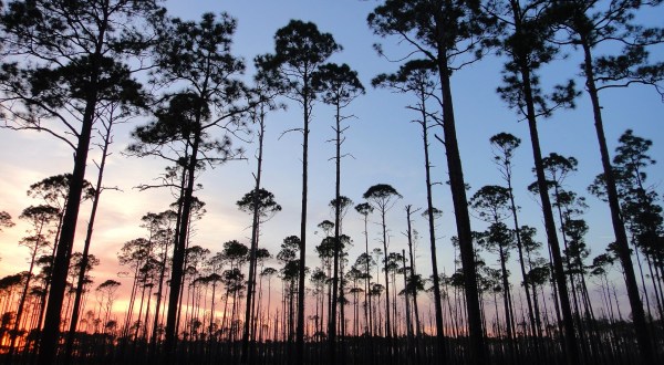 This Magical Nighttime Adventure Will Provide Views Of Georgia You’ve Never Seen Before