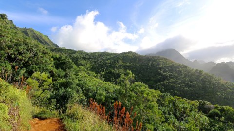 The 9 Gorgeous Hikes Everyone In Hawaii Must Complete