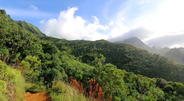 The 9 Gorgeous Hikes Everyone In Hawaii Must Complete