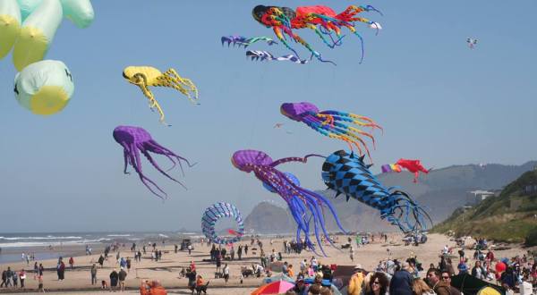 This Incredible Kite Festival Near Portland Is A Must-See