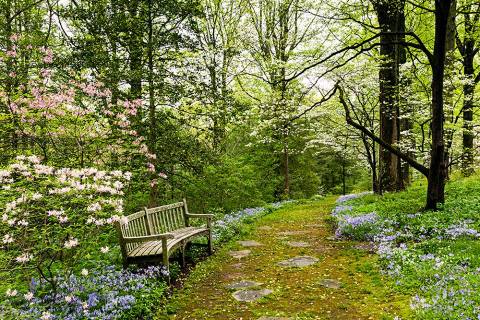 It's Impossible Not To Love This Breathtaking Wild Flower Trail In Delaware