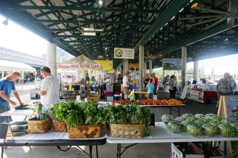 Everyone In Nashville Must Visit This Epic Farmers Market At Least Once