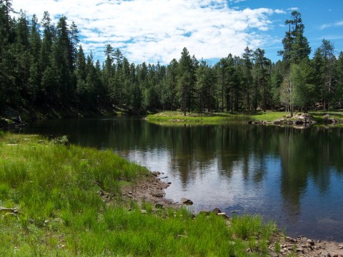 The Incredible Spring-Fed Lake In Arizona You Absolutely Need To Visit
