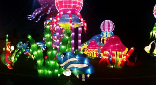 You Don’t Want To Miss This Gorgeous Lantern Festival In Washington This Year