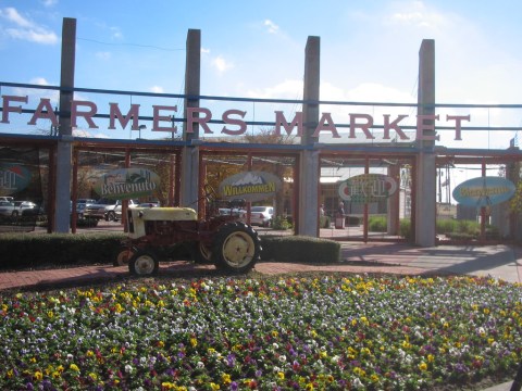 Everyone In Texas Must Visit The Dallas Farmers Market At Least Once