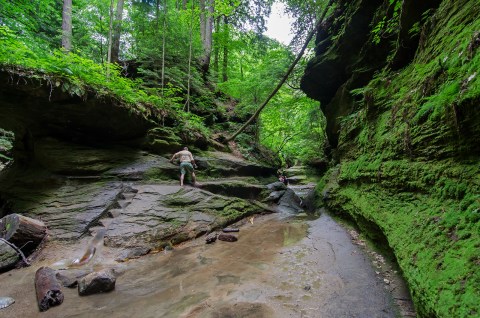 The Hiking Trail Hiding In Indiana That Will Transport You To Another World