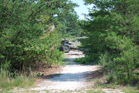 The Hiking Trail Hiding In Delaware That Will Transport You To Another World