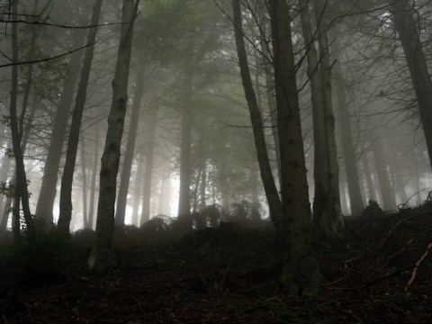 The Haunted Hike In Massachusetts That Will Send You Running For The Hills