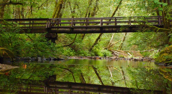 This Little Known Natural Oasis In Oregon Is Drop Dead Gorgeous