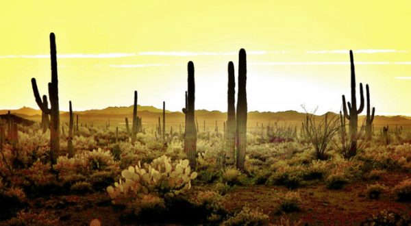 11 Awkward Moments Every Arizonan Has Endured At Least Once