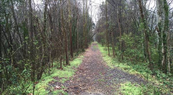 Hike This Secret Trail System In Mississippi For A Real Life Adventure