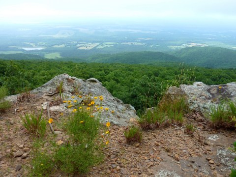 11 Amazing Arkansas Hikes Under 3 Miles You'll Absolutely Love