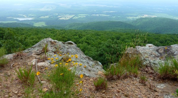 11 Amazing Arkansas Hikes Under 3 Miles You’ll Absolutely Love