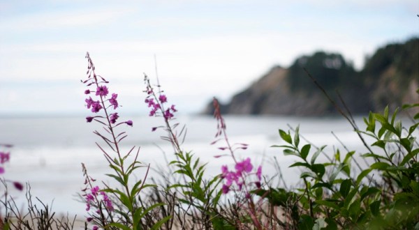 This Little Known State Park Is One Of The Most Stunning Places On The Oregon Coast