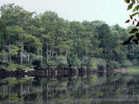 Most People Don’t Know This Gorgeous River In Mississippi Has A Haunting Past