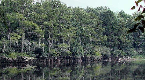 Most People Don’t Know This Gorgeous River In Mississippi Has A Haunting Past