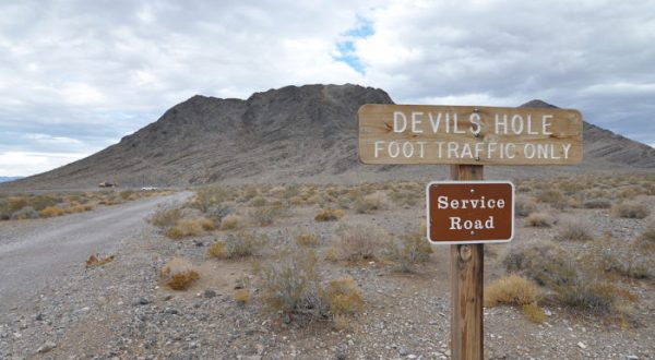No One Knows Just How Deep Nevada’s Devil’s Hole Really Is