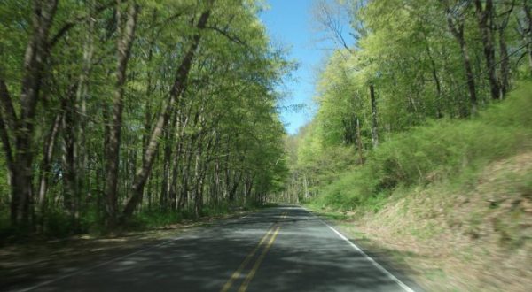 A Drive Down New Jersey’s Loneliest Road Will Take You Miles And Miles Away From It All