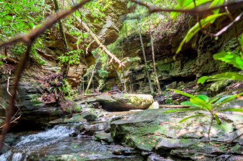 The Hiking Trail Hiding In Tennessee That Will Transport You To Another World