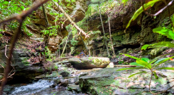 The Hiking Trail Hiding In Tennessee That Will Transport You To Another World