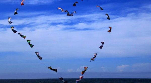 This Incredible Kite Festival In Washington Is A Must-See