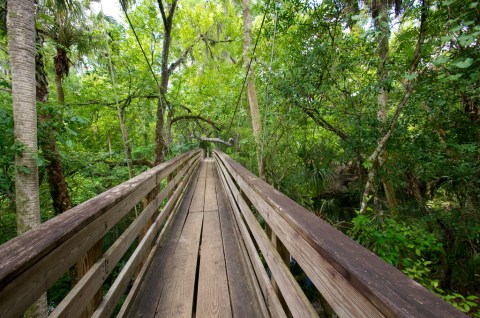 The Hiking Trail Hiding In Florida That Will Transport You To Another World