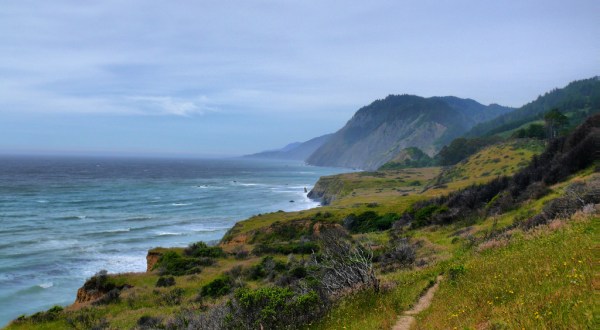 The 11 Most Spectacular State Parks In Northern California You Need To Visit
