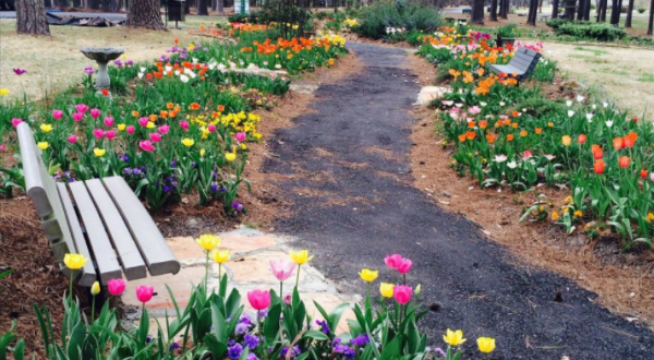 The Most Beautiful Park Is Right Here In Louisiana And You Need To Visit