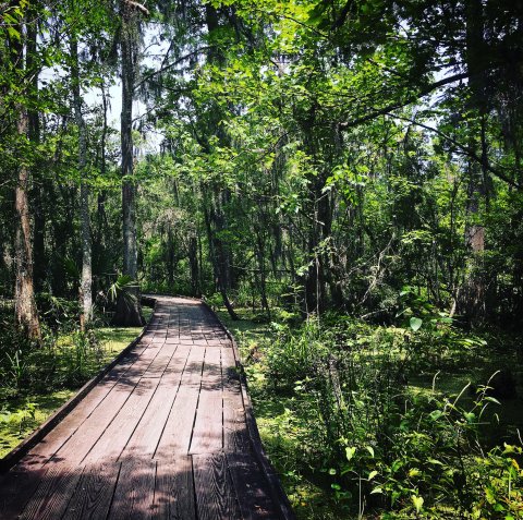 The Hiking Trail Hiding In Louisiana That Will Transport You To Another World