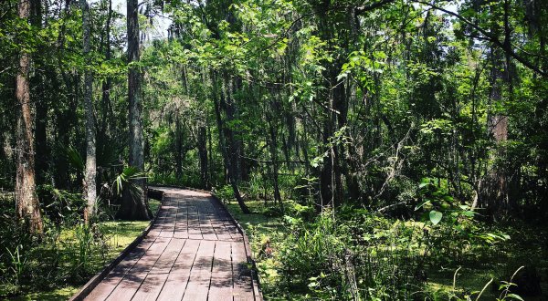 The Hiking Trail Hiding In Louisiana That Will Transport You To Another World