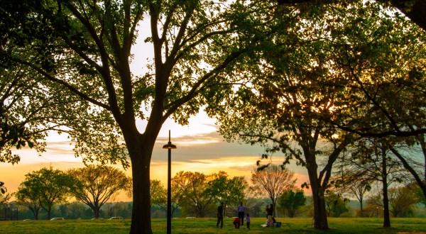 15 Undeniable Reasons Why Everyone Loves Washington DC